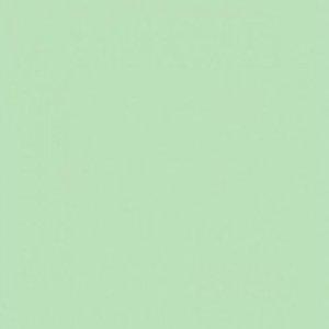 Paint and Paper Library Silver Tongue Paint
